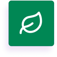 Green square with leaf design